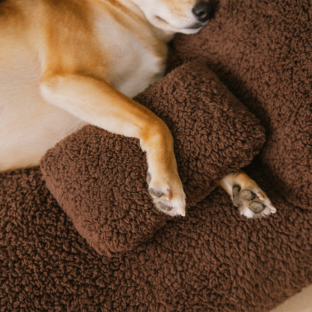 Ultra-weiches Orthopädisches Hundebett mit Abnehmbarer Waschbarer Abdeckung - Komfort für Alle Größen, Flauschiges Hundekissen-3