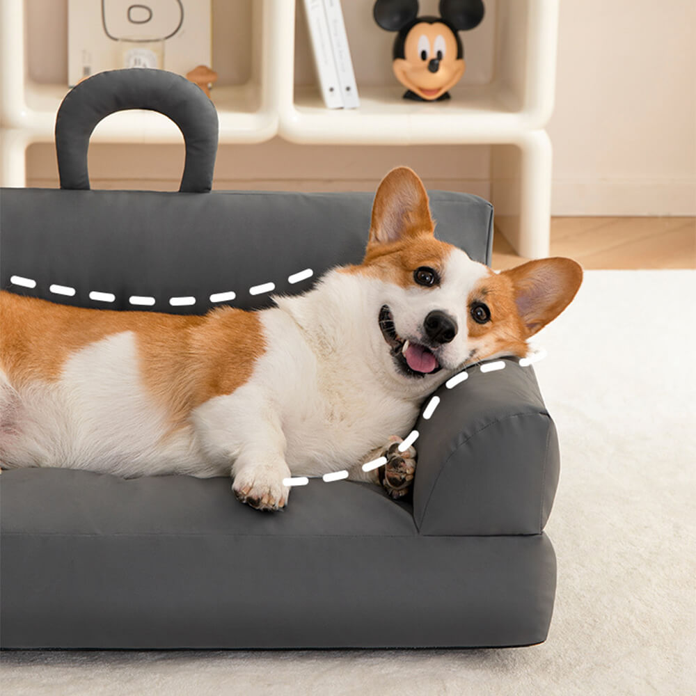 Erhöhtes Haustiersofa mit Ergonomischer Rückenlehne und Wasserdichtem Material - Modernes Bett für Hunde und Katzen, Größe M 65 x 50 x 24 cm-4